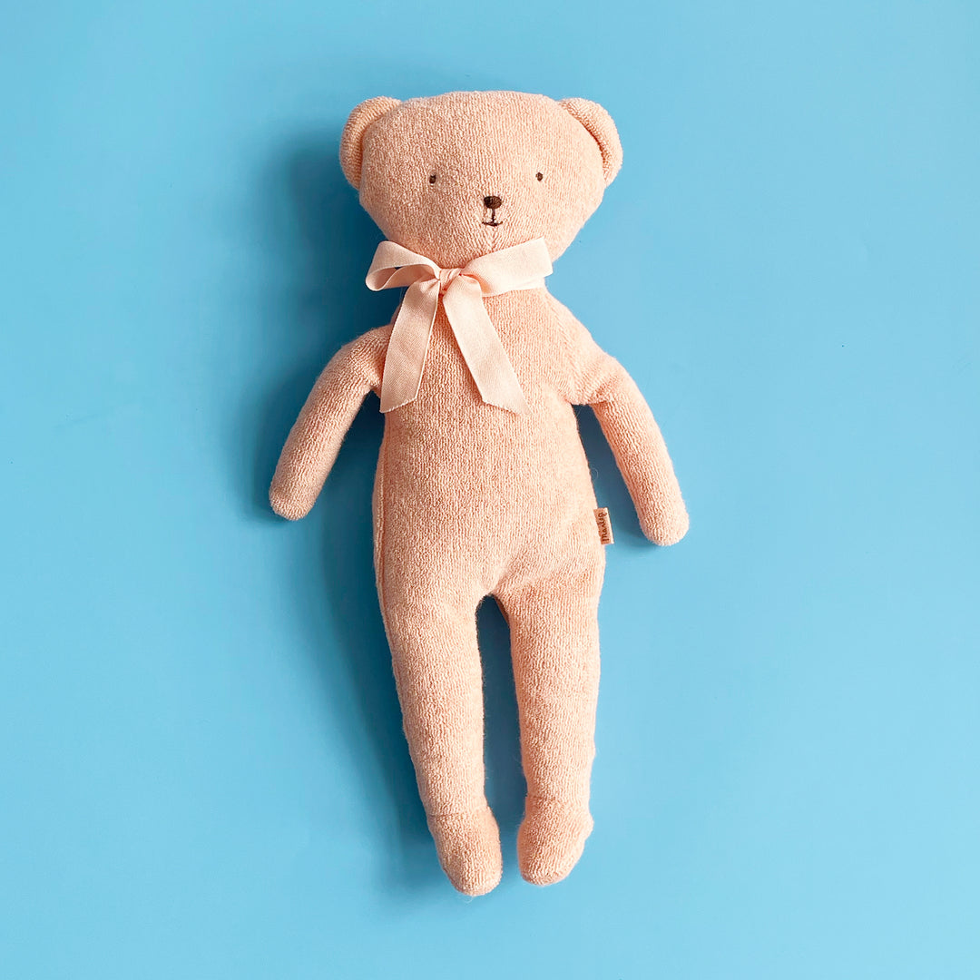 Terry Teddy