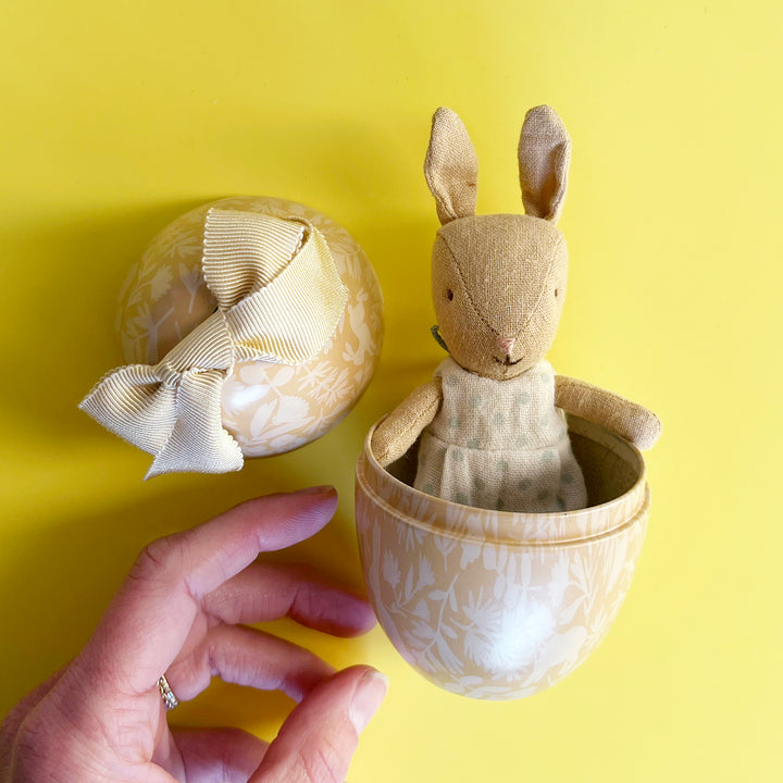 Easter Egg with Micro Rabbit