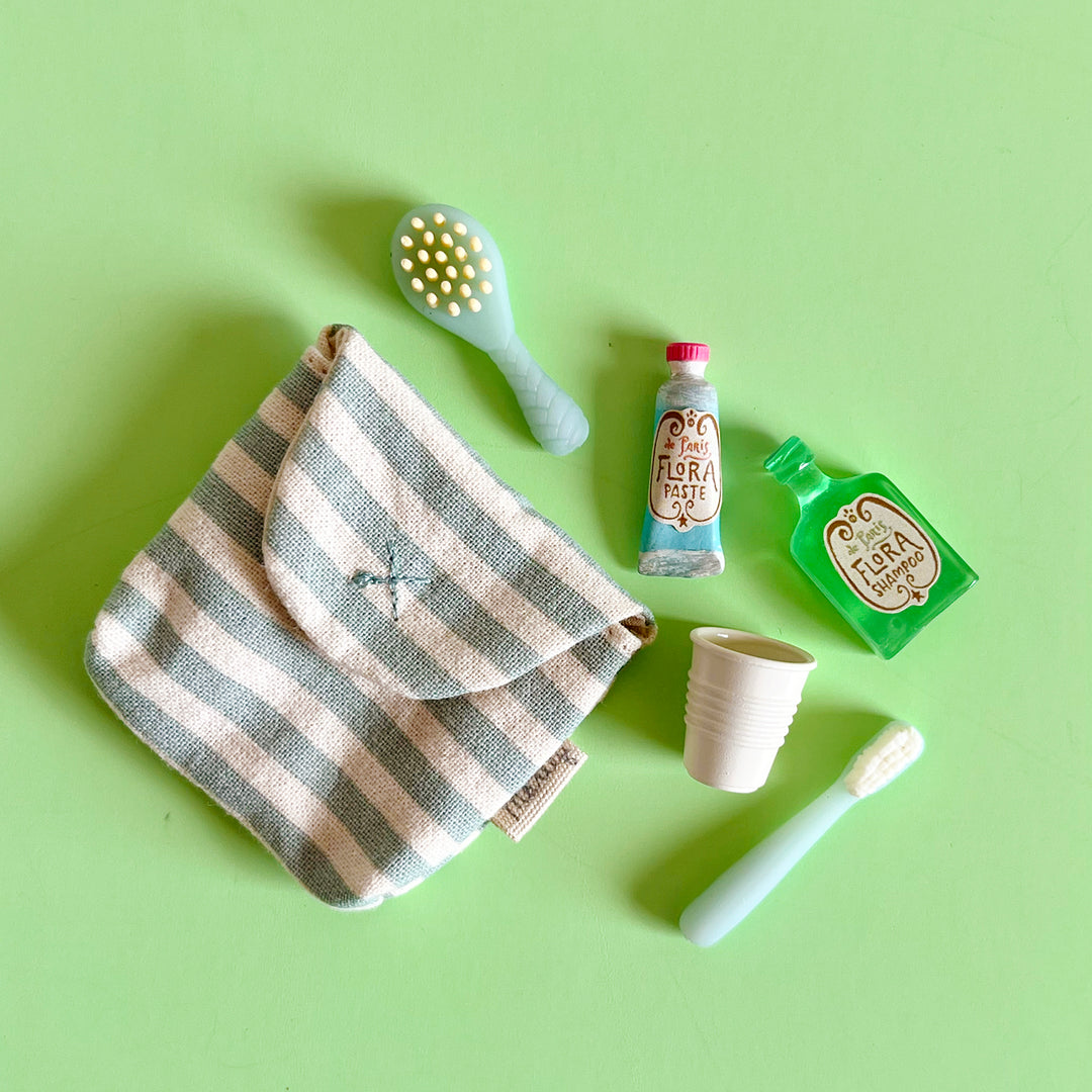 Mini Toothbrush Set in a Bag