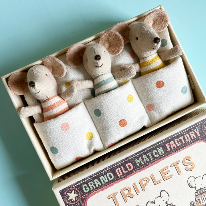 Triplet Baby Mice in a Matchbox