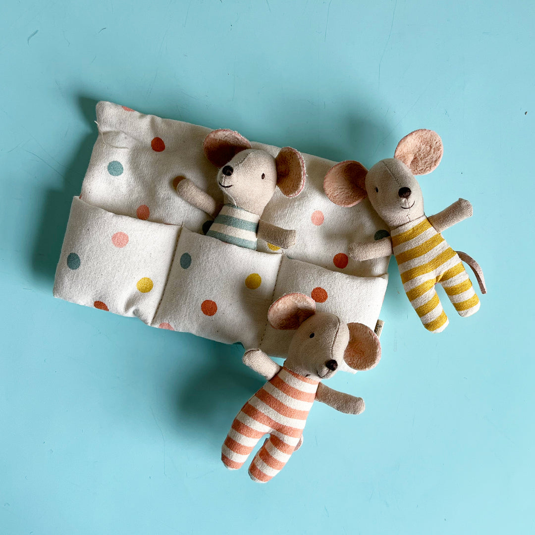 Triplet Baby Mice in a Matchbox