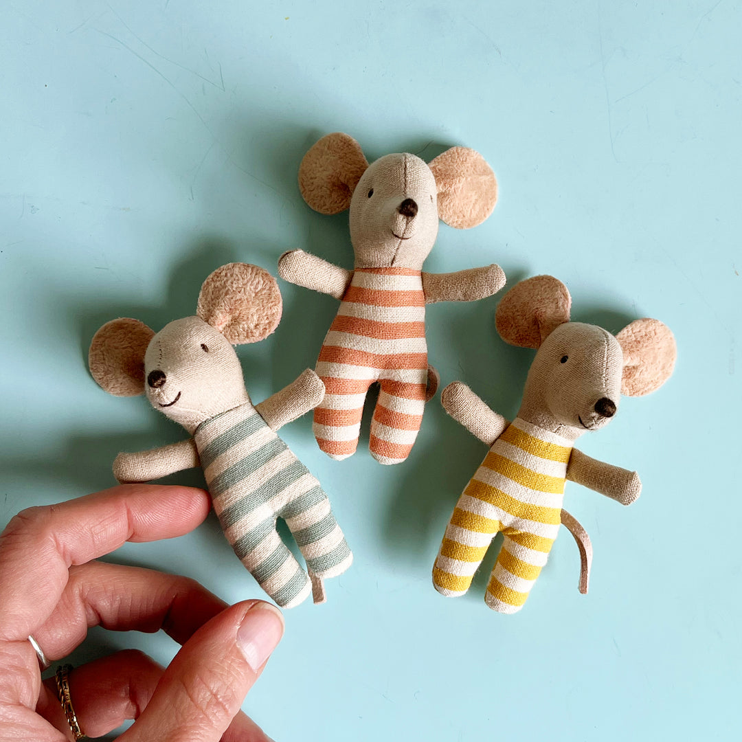 Triplet Baby Mice in a Matchbox