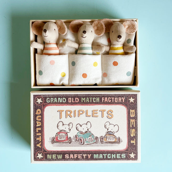 Triplet Baby Mice in a Matchbox