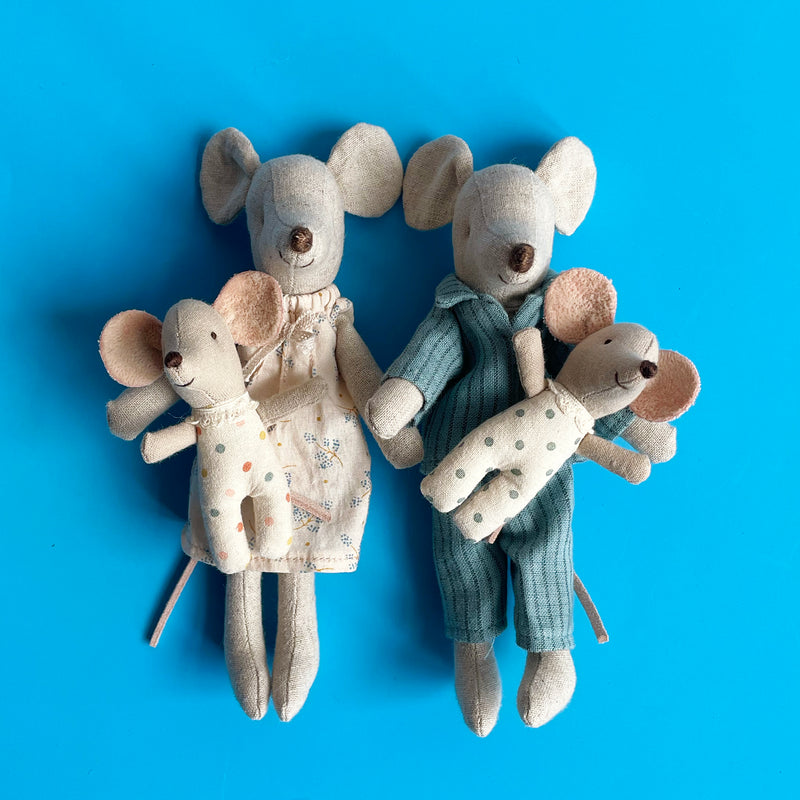 Twin Baby Mice in a Matchbox