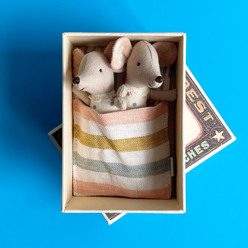 Twin Baby Mice in a Matchbox