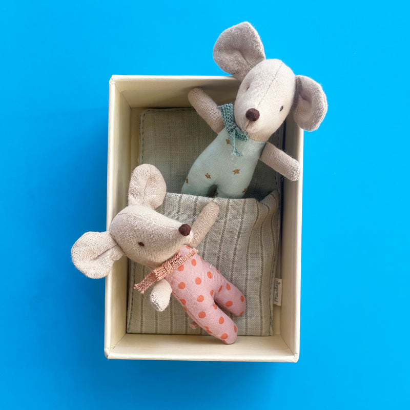 Twin Baby Mice in a Matchbox