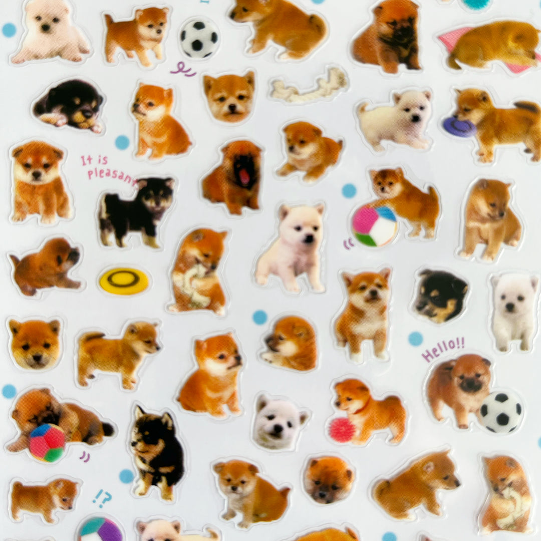Baby Shiba Stickers