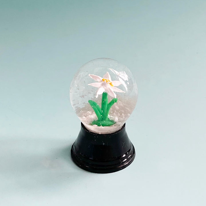 Mini Snowglobe