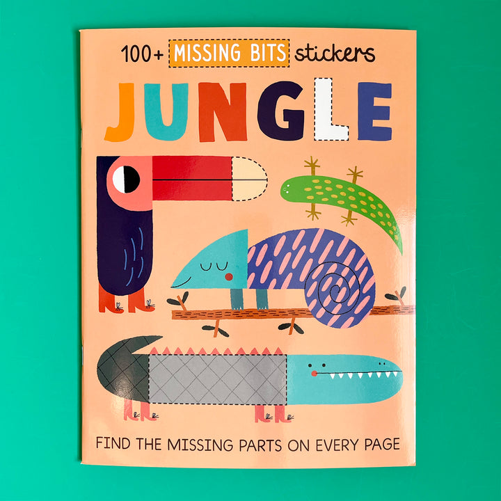 Sticker Activity Book