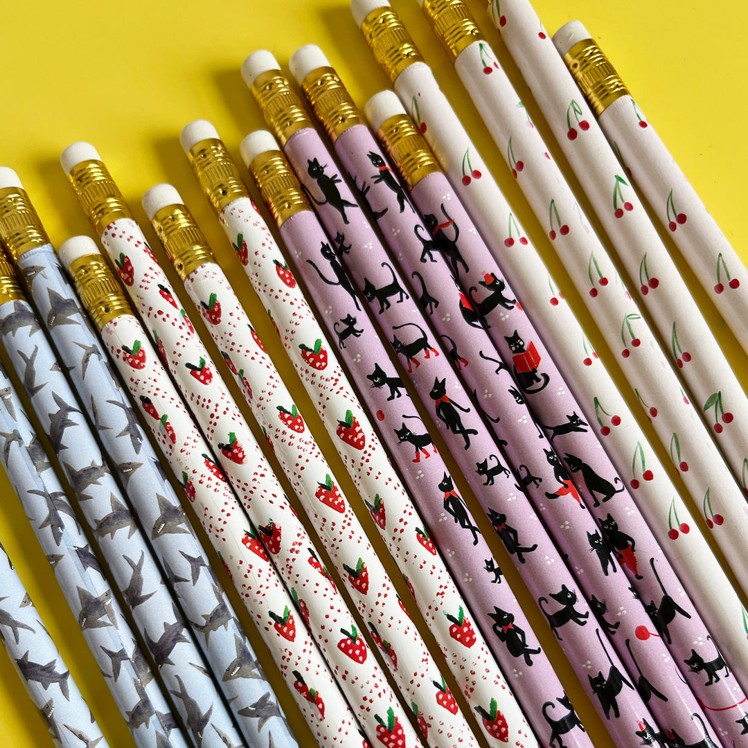 Set of 4 Illustrated Pencils