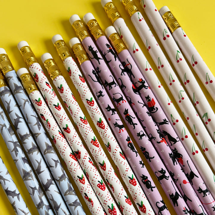Set of 4 Illustrated Pencils