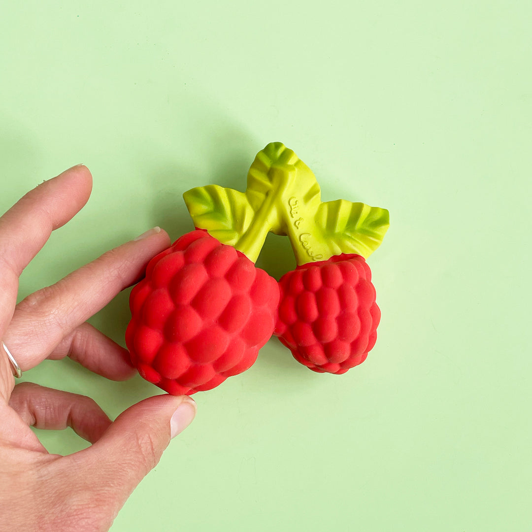 Fruity Rubber Teether