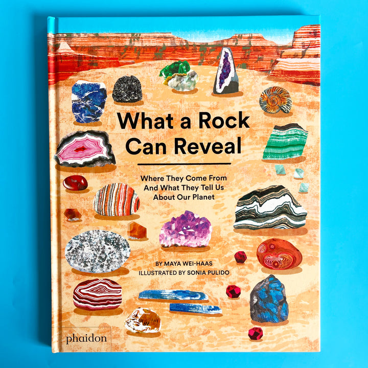 What a Rock Can Reveal