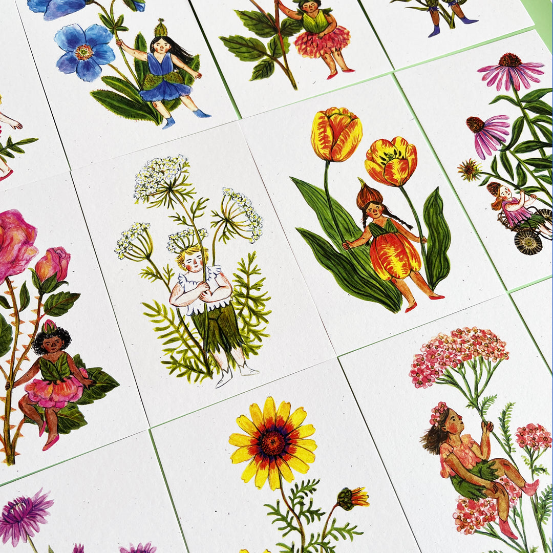 Flower Fairies Postcard Set