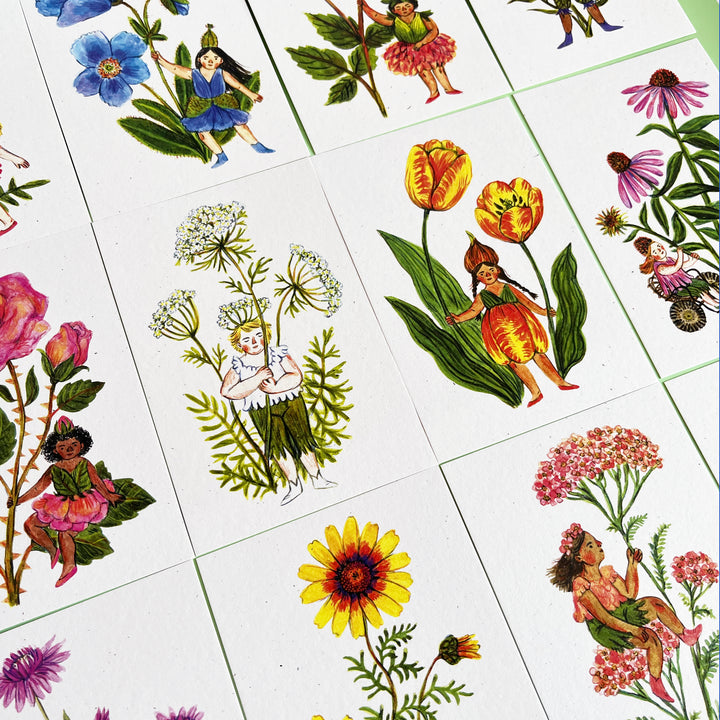 Flower Fairies Postcard Set