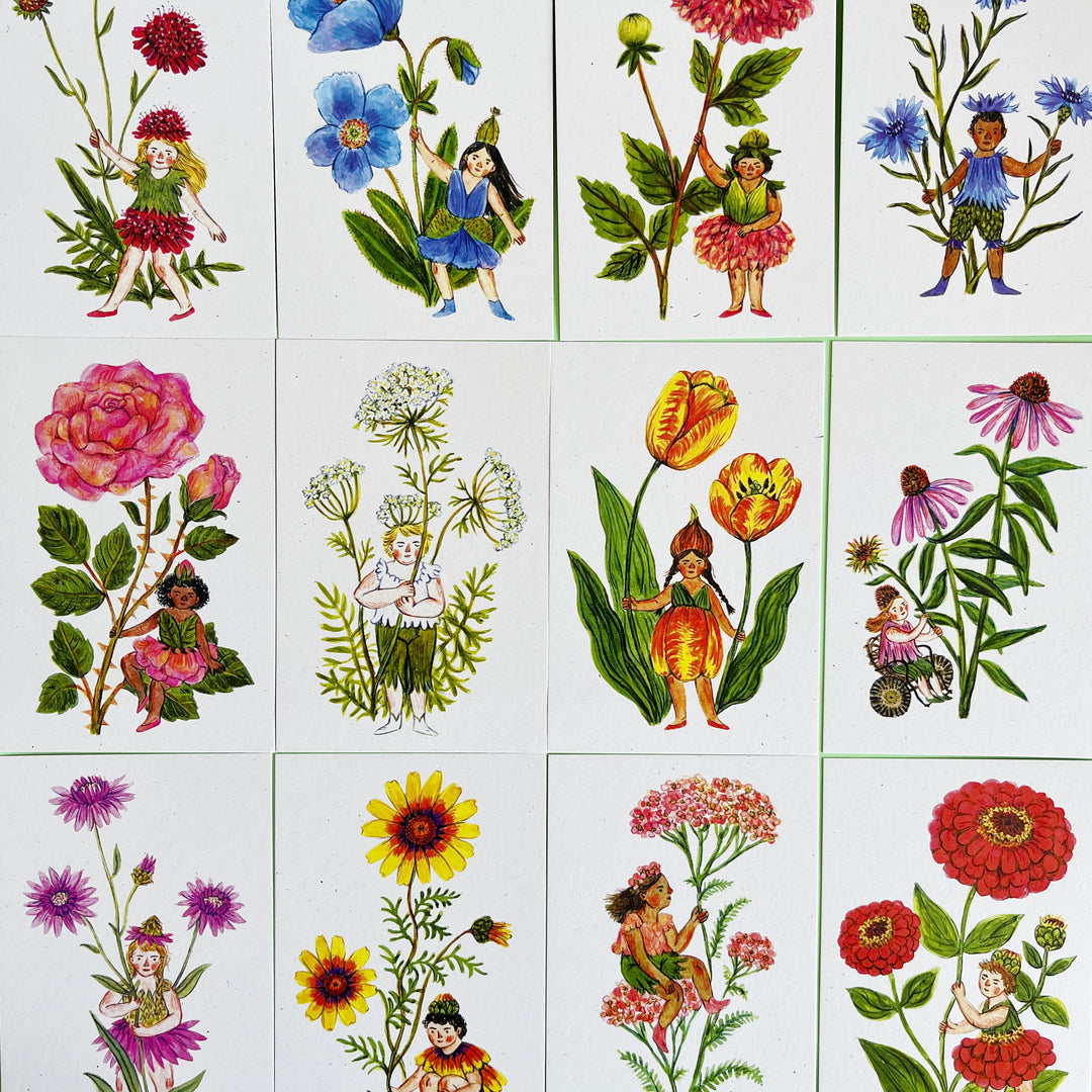 Flower Fairies Postcard Set