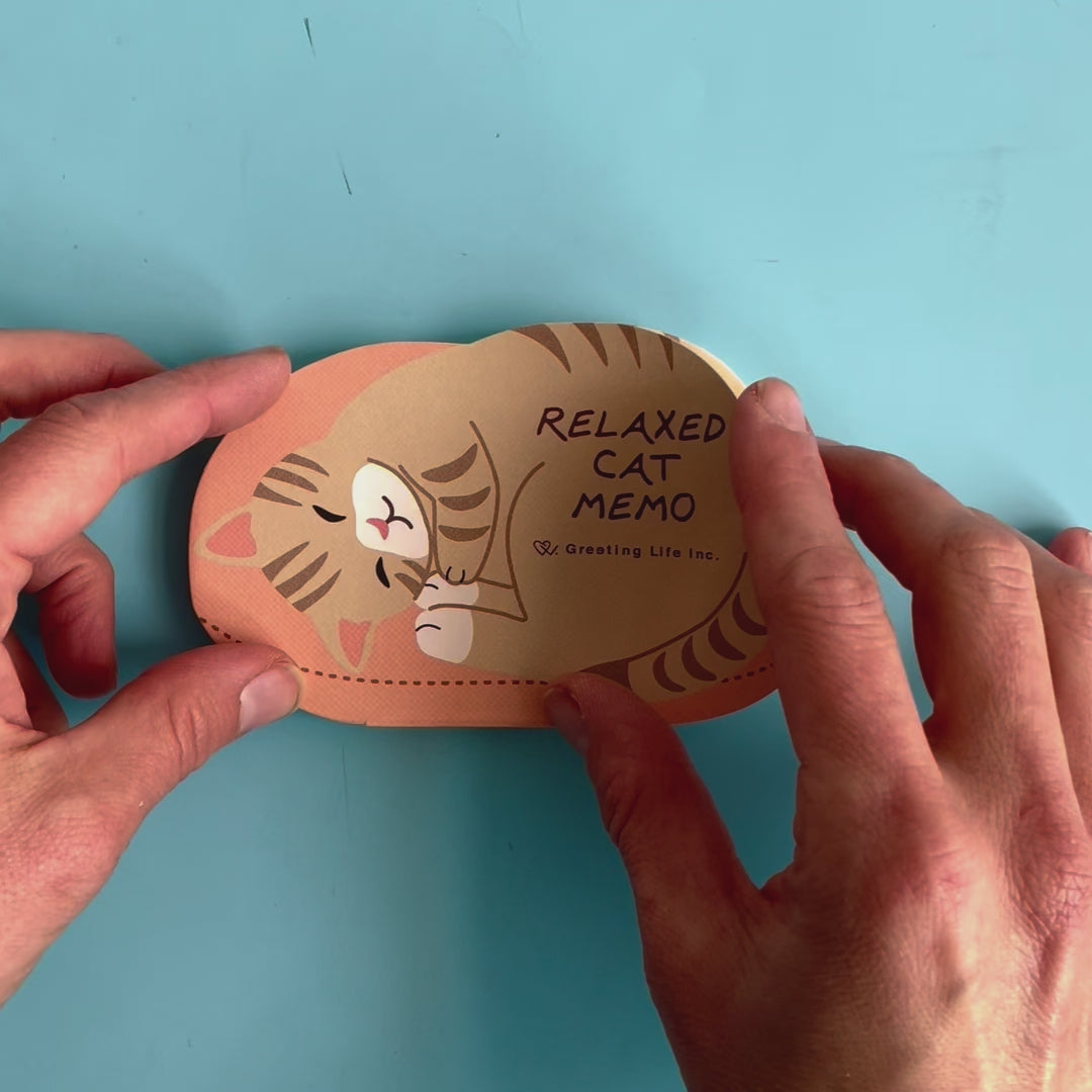 Relaxed Cat Memo Pad