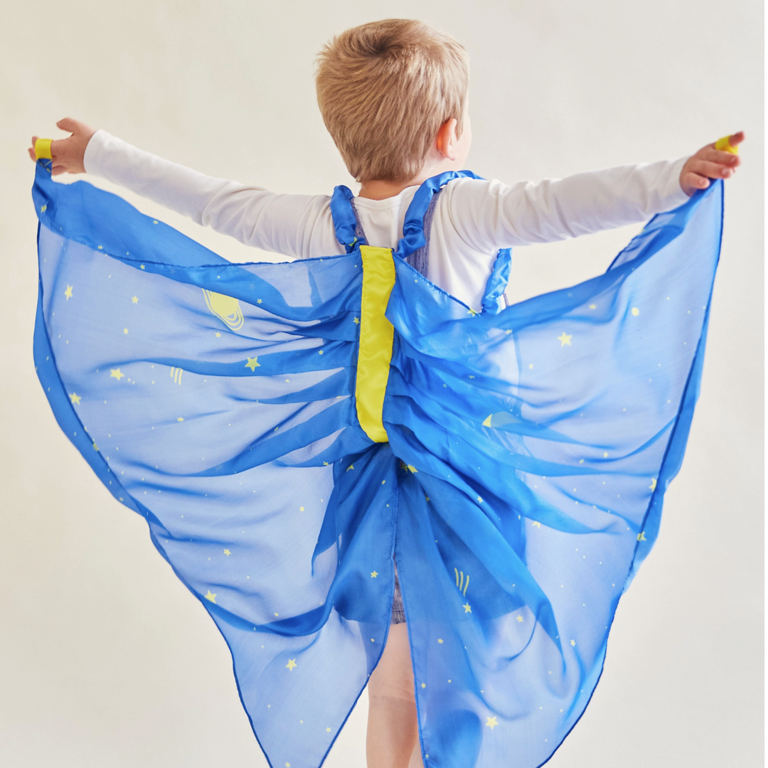 Starry Silk Dress Up Wings