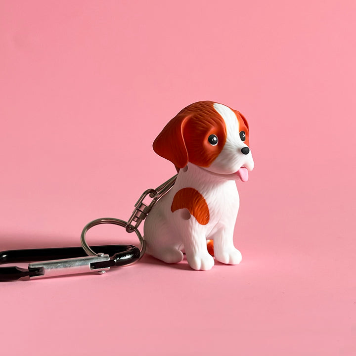 Dog Flashlight