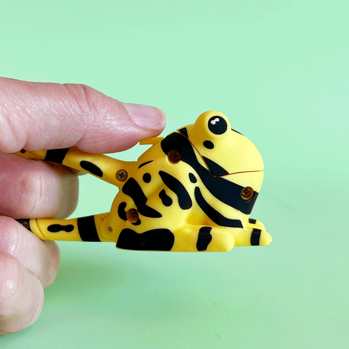 Frog Flashlight