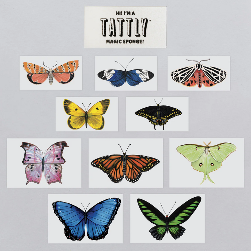 Butterfly Tattoo Tin