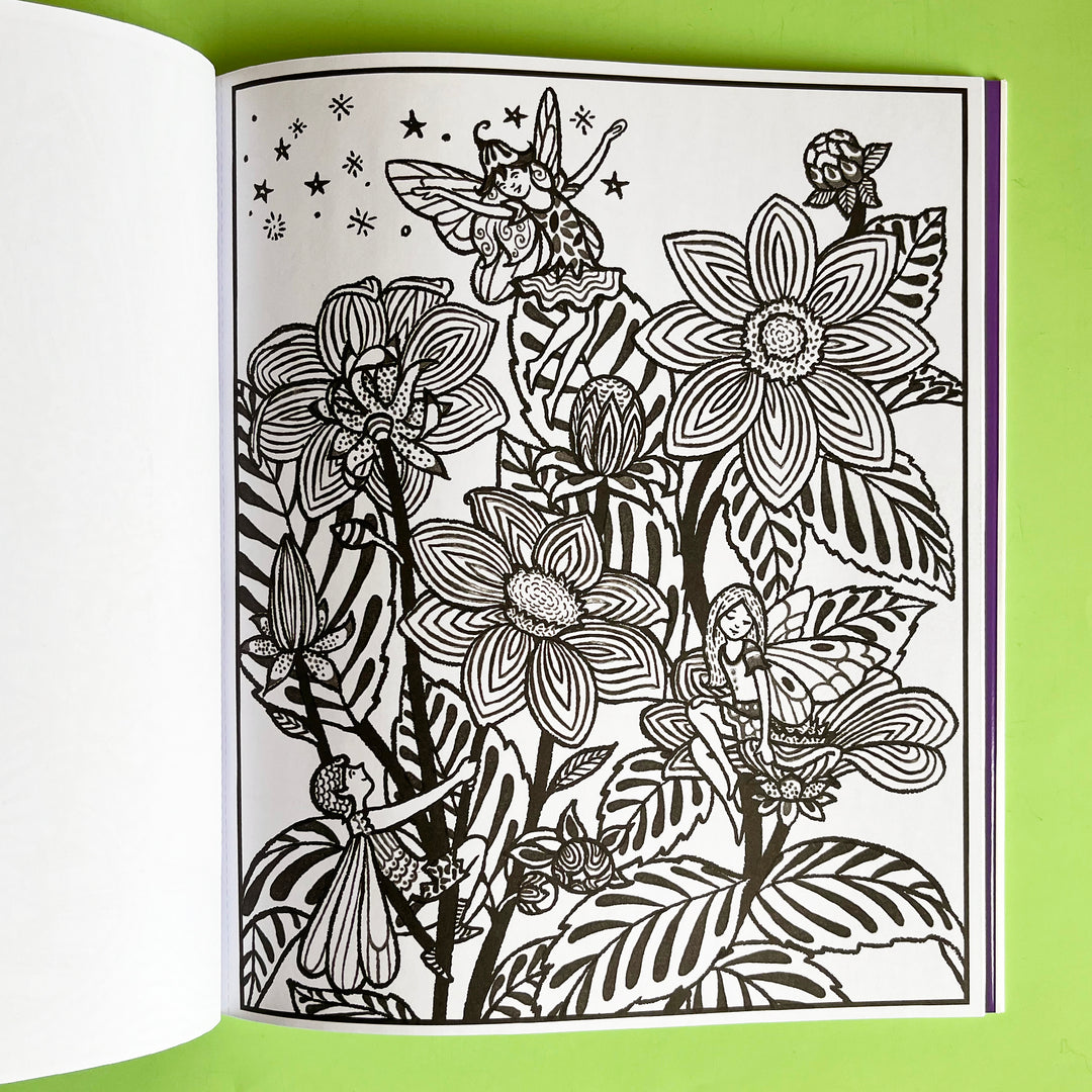 Fairy Gardens Magic Painting Book