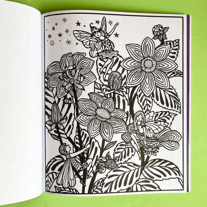 Fairy Gardens Magic Painting Book