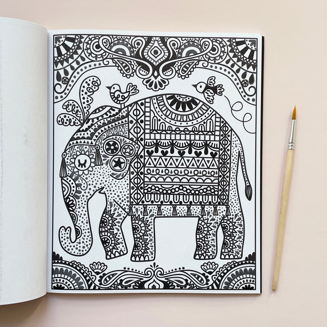 Magic Painting Book