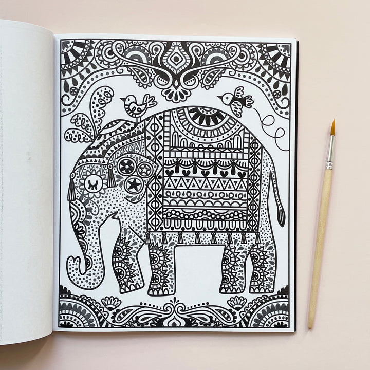 Magic Painting Book