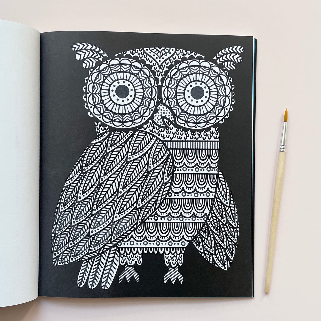 Magic Painting Book
