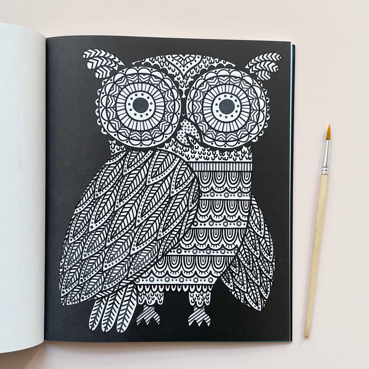 Magic Painting Book