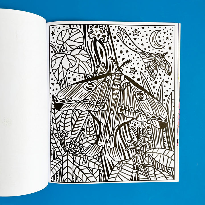 Bugs Magic Painting Book