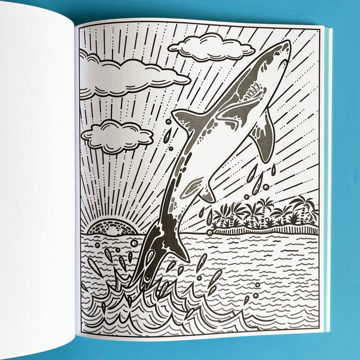 Sharks Magic Painting Book