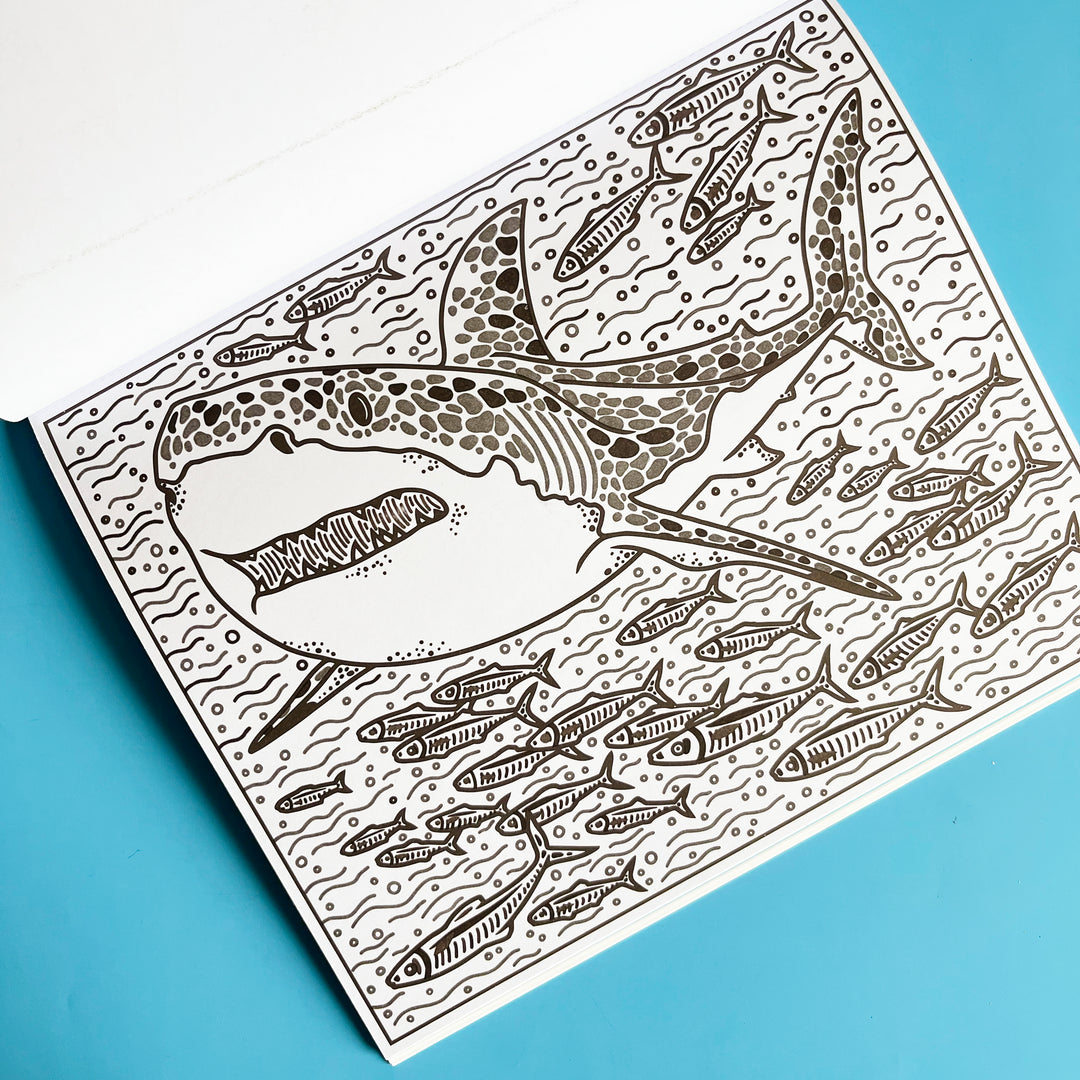 Sharks Magic Painting Book