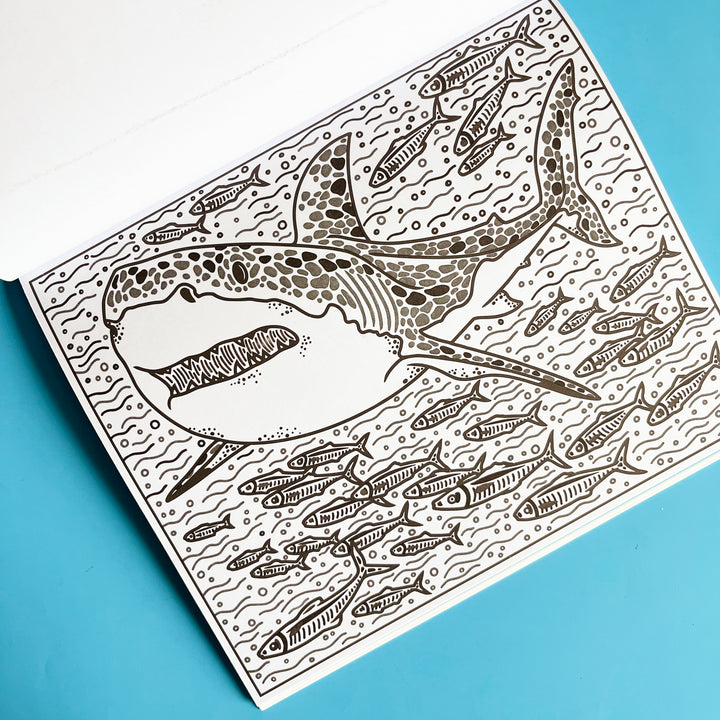 Sharks Magic Painting Book