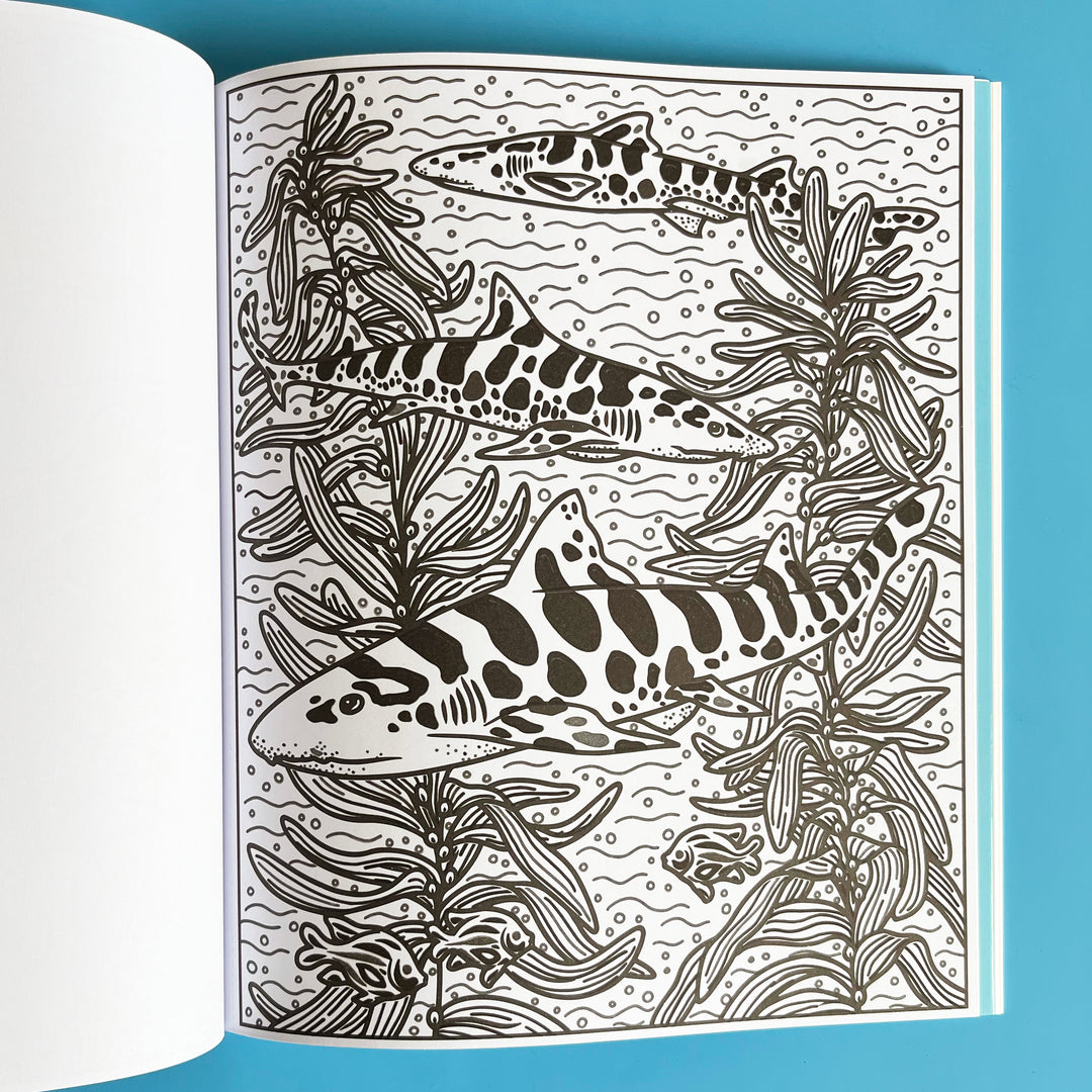 Sharks Magic Painting Book