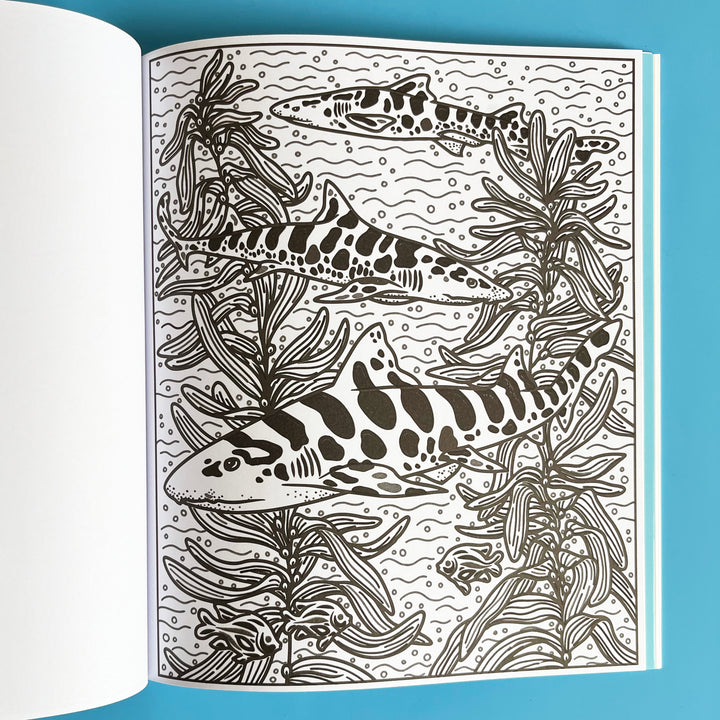 Sharks Magic Painting Book