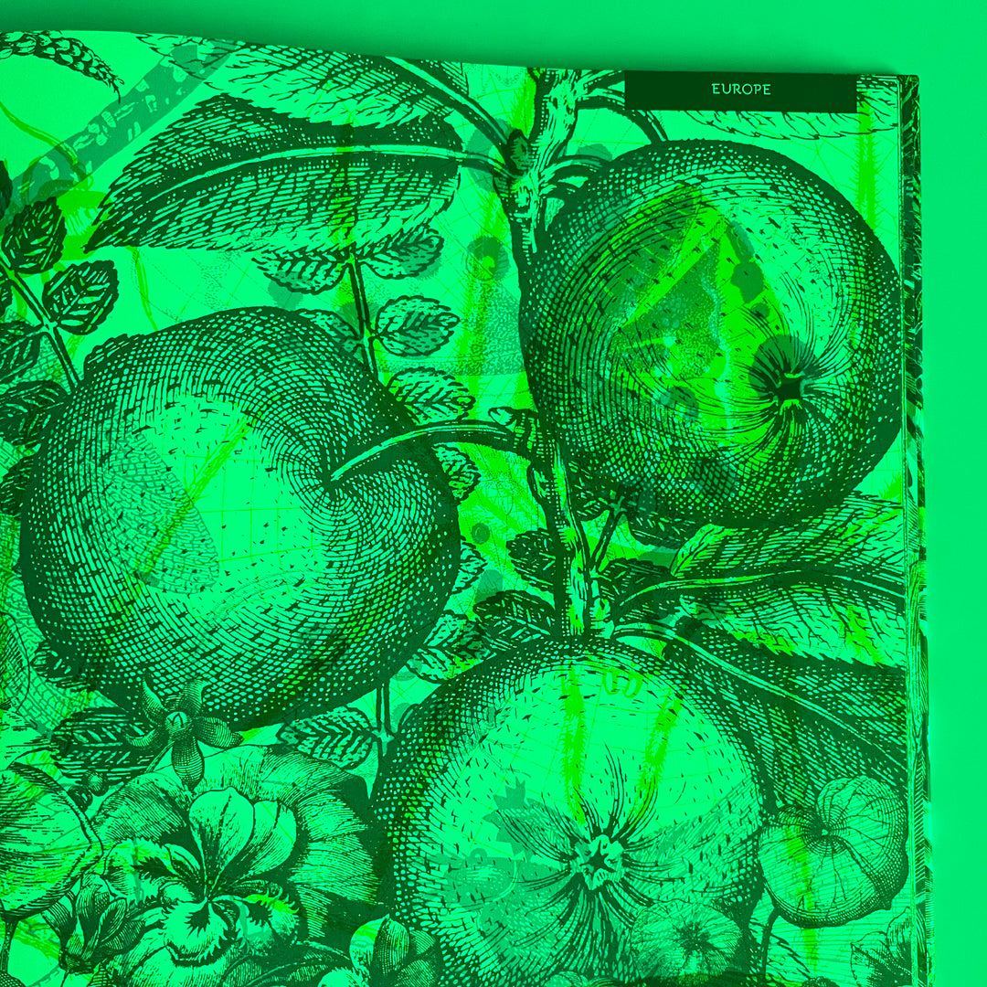 Illumibugs