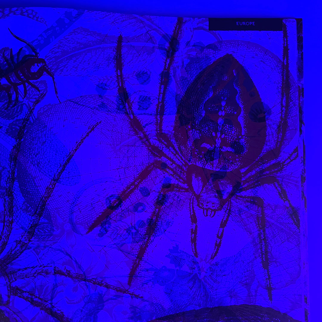 Illumibugs