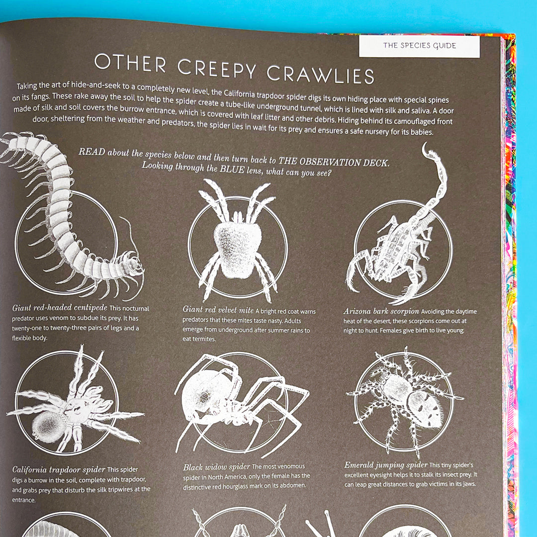 Illumibugs