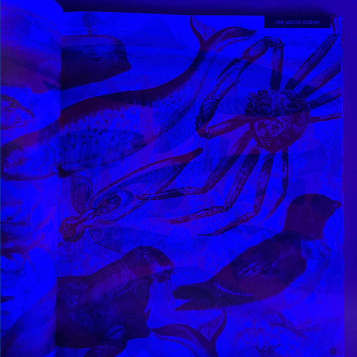 Illuminoceans
