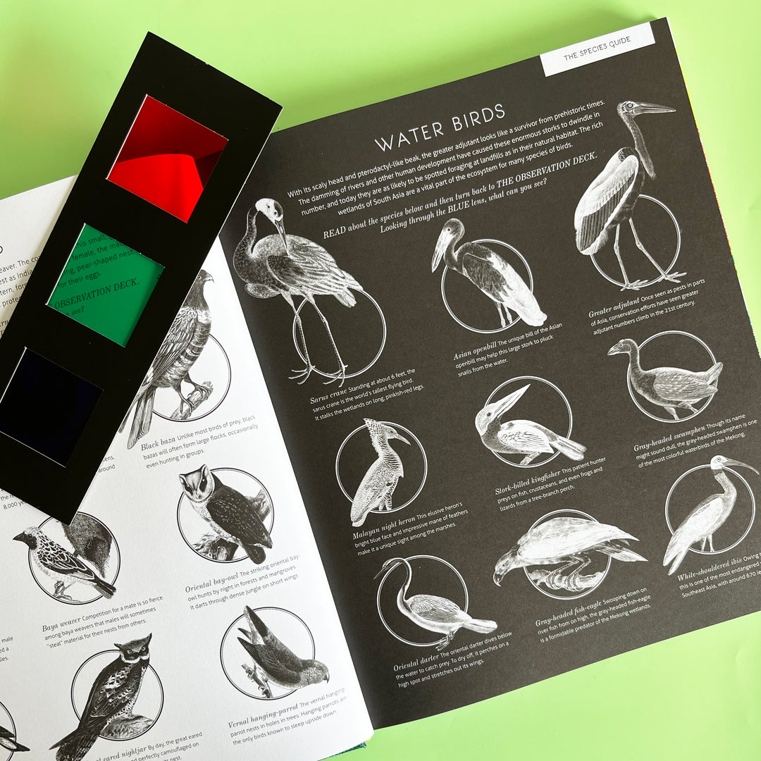 Illumipedia