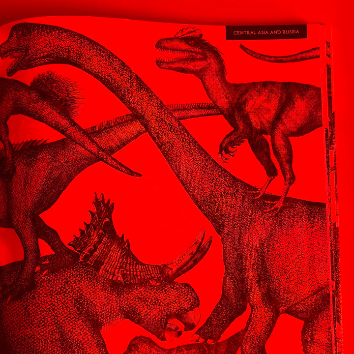 Illumisaurus