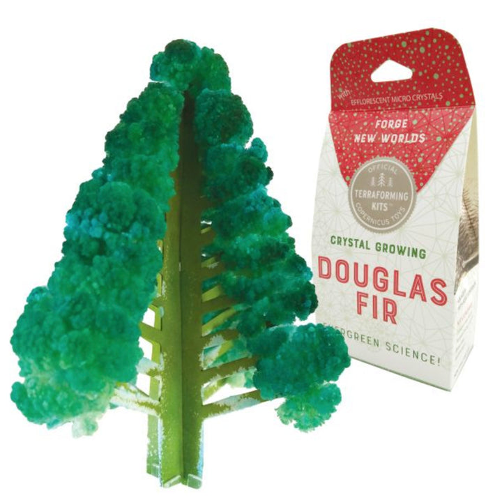 Douglas Fir Crystal Kit