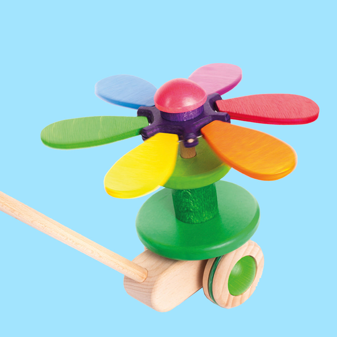 Flower Push Toy