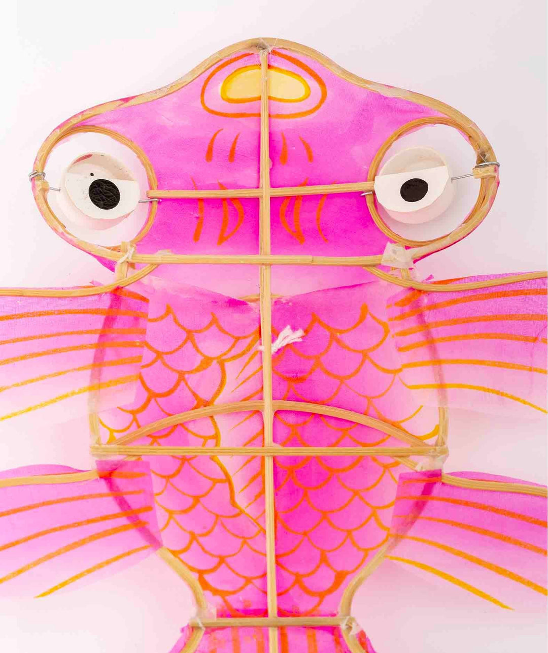 Fish Kite