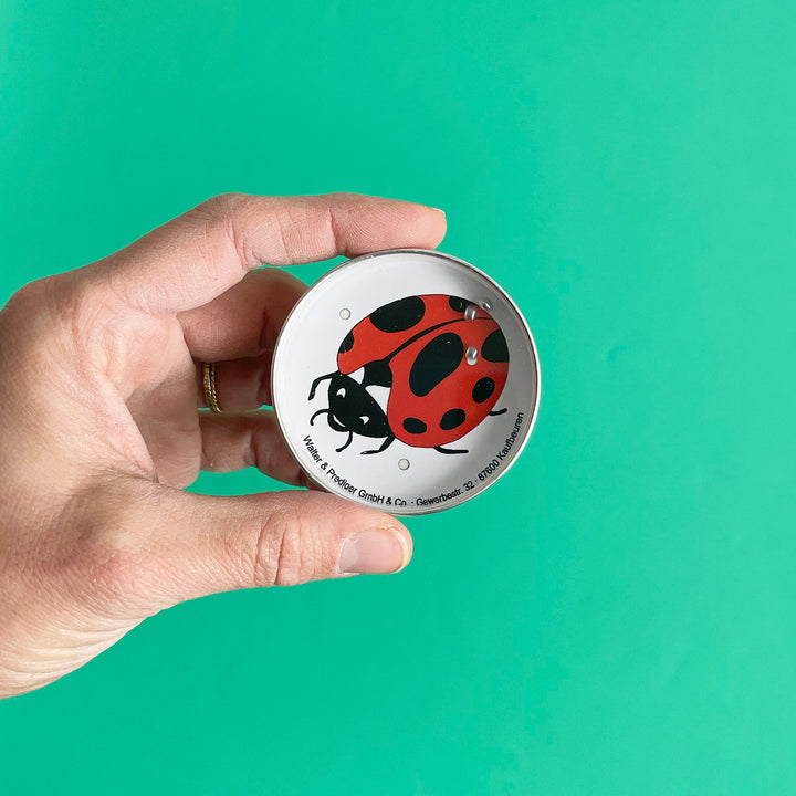 Ladybug Disc Game