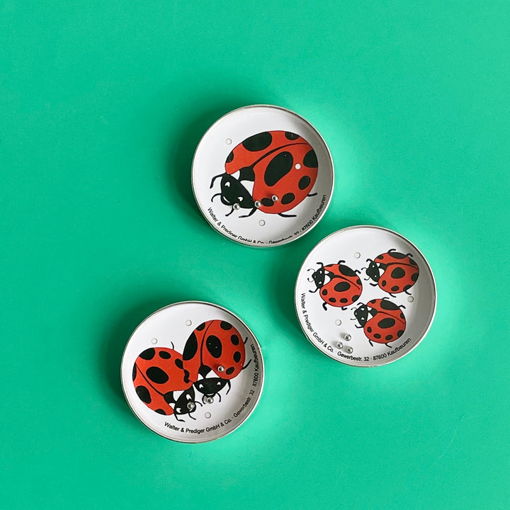 Ladybug Disc Game