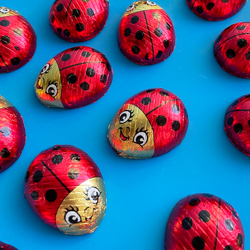 Chocolate Ladybugs