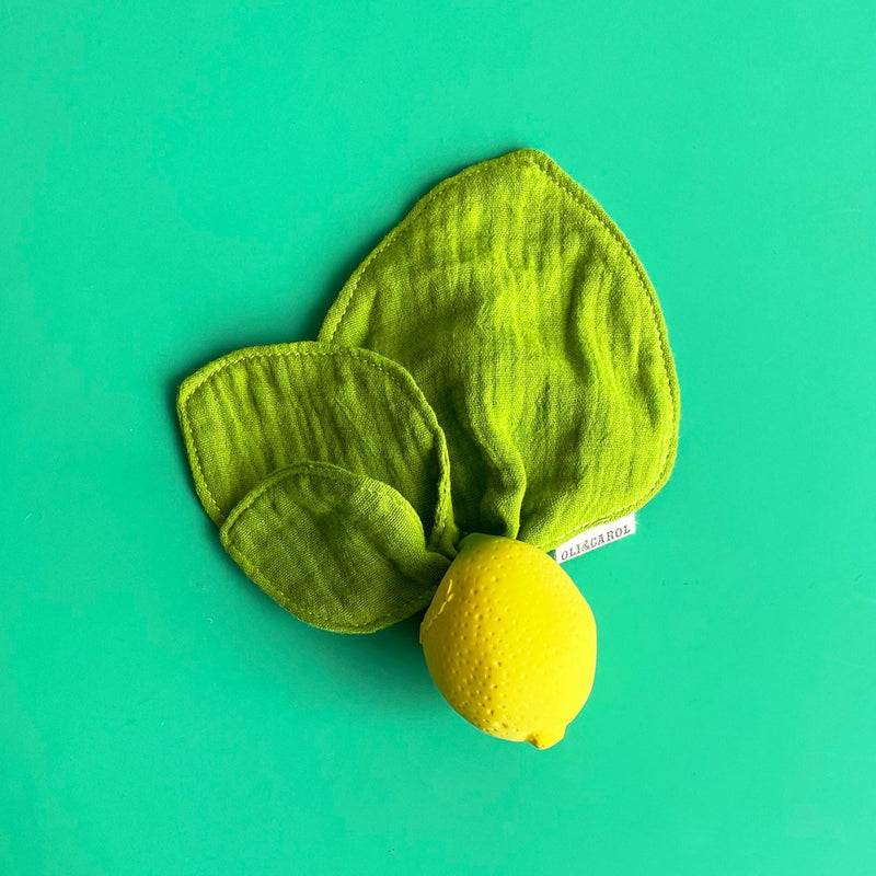 Vegetable Mini DouDou Teether